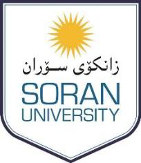 دانشگاه سوران